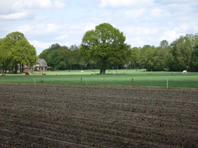 HWK Wekerom099.jpg